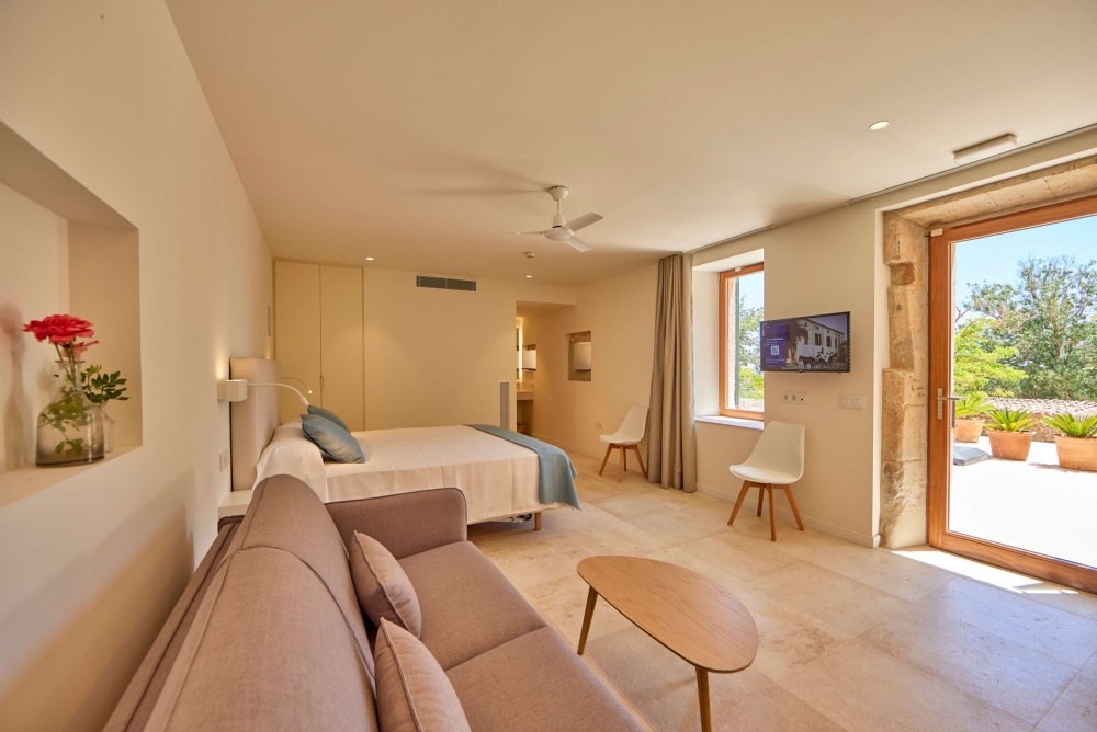 Estudio con terraza Penya