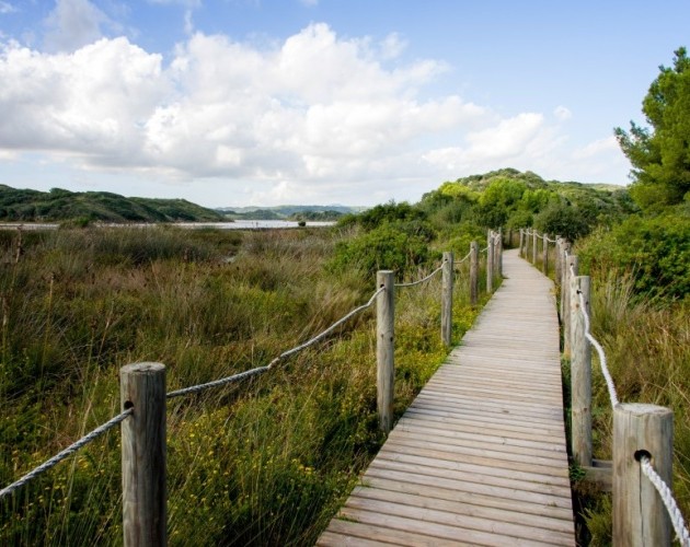 ALBUFERA DE MALLORCA
