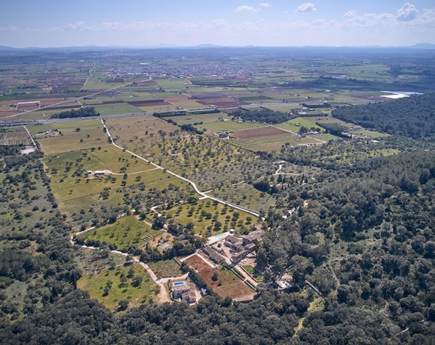 Bosque y sus encantos